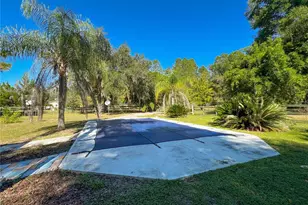 4217 NW 202nd St, Newberry, FL 32669 - Photo 11