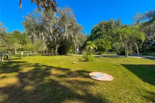 4217 NW 202nd St, Newberry, FL 32669 - Photo 49