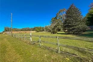 4217 NW 202nd St, Newberry, FL 32669 - Photo 53