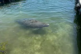 30 SE Valare Ln, Crystal River, FL 34429 - Photo 25