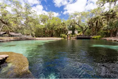 5860 SE 183rd Terrace, Ocklawaha, FL 32179 - Photo 43