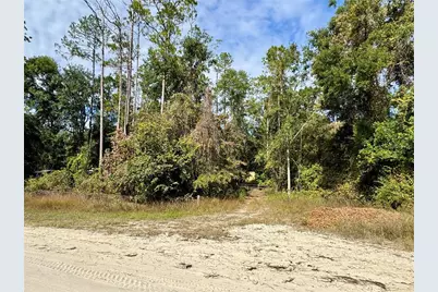 Lot 46 SW Kentucky Street, Fort White, FL 32038 - Photo 9