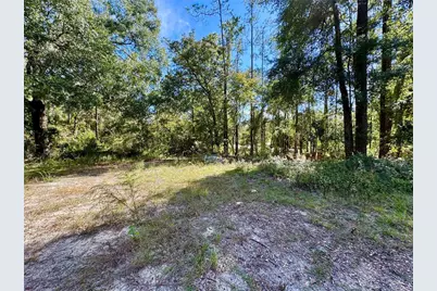 Lot 46 SW Kentucky Street, Fort White, FL 32038 - Photo 7
