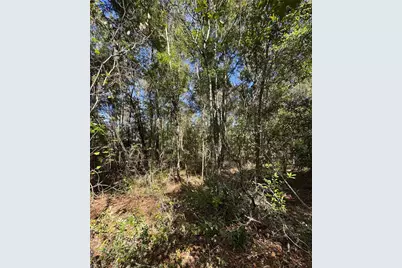 Lot 45 SW Kentucky Street, Fort White, FL 32038 - Photo 7