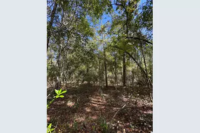 Lot 45 SW Kentucky Street, Fort White, FL 32038 - Photo 5