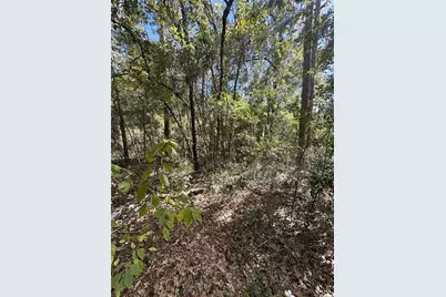 Lot 45 SW Kentucky Street, Fort White, FL 32038 - Photo 3