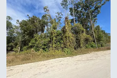 Lot 45 SW Kentucky Street, Fort White, FL 32038 - Photo 1