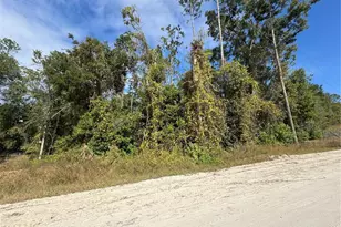 Lot 45 SW Kentucky St, Fort White, FL 32038 - Photo 1