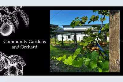 5486 SW 125th Circle, Archer, FL 32618 - Photo 15