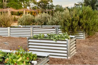 12522 SW 58th Circle, Archer, FL 32618 - Photo 21