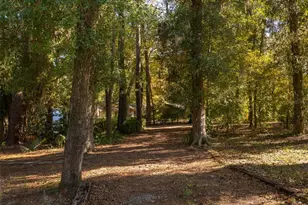 3619 NW 38th St, Gainesville, FL 32606 - Photo 35