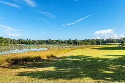 5119 Heskett Lane, Keystone Heights, FL 32656 - Photo 65