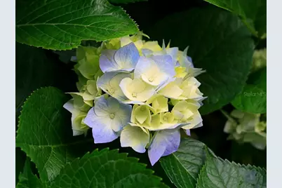 1403 NE 20th Avenue, Gainesville, FL 32609 - Photo 7