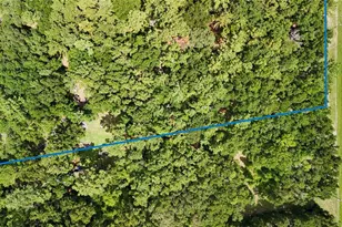 7922 SW County Rd 346, Archer, FL 32618 - Photo 3