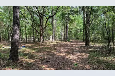 7922 SW County Road 346, Archer, FL 32618 - Photo 5