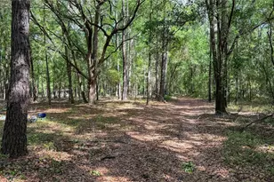 7922 SW County Rd 346, Archer, FL 32618 - Photo 5