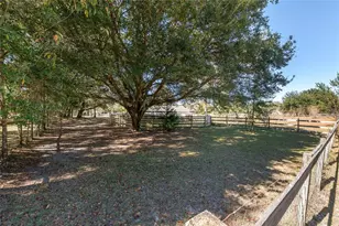 9128 NW 238 St, Alachua, FL 32615 - Photo 31