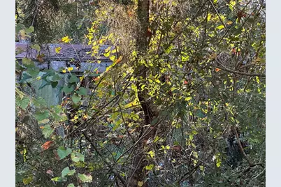 150 SE 926th Street, Old Town, FL 32680 - Photo 3