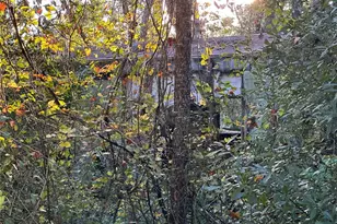 150 SE 926th St, Old Town, FL 32680 - Photo 1