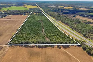 18604 NW 262nd Ave, Alachua, FL 32615 - Photo 57