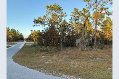 00 NE 9th Street, Williston, FL 32696 - Photo 7