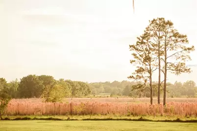 3841 SW 69th Avenue, Gainesville, FL 32608 - Photo 73