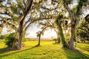 3841 SW 69th Ave, Gainesville, FL 32608 - Photo 63