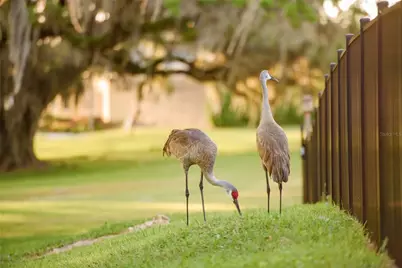 3841 SW 69th Avenue, Gainesville, FL 32608 - Photo 85