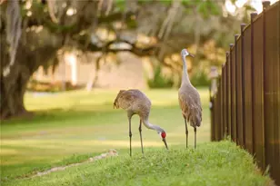 3841 SW 69th Ave, Gainesville, FL 32608 - Photo 85