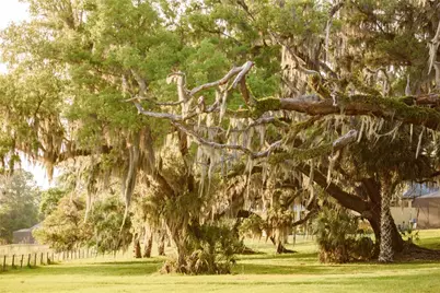 3841 SW 69th Avenue, Gainesville, FL 32608 - Photo 77