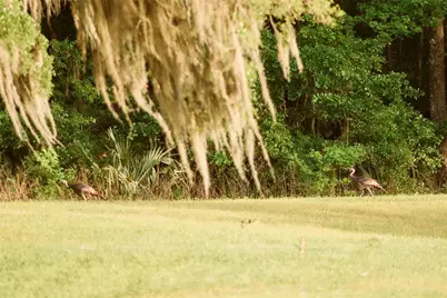 3841 SW 69th Avenue, Gainesville, FL 32608 - Photo 75