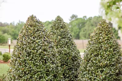 3841 SW 69th Avenue, Gainesville, FL 32608 - Photo 53