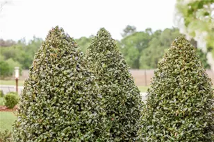 3841 SW 69th Ave, Gainesville, FL 32608 - Photo 53