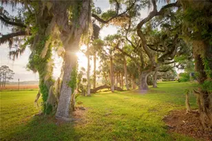 3841 SW 69th Ave, Gainesville, FL 32608 - Photo 65