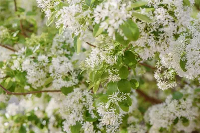 3841 SW 69th Avenue, Gainesville, FL 32608 - Photo 55