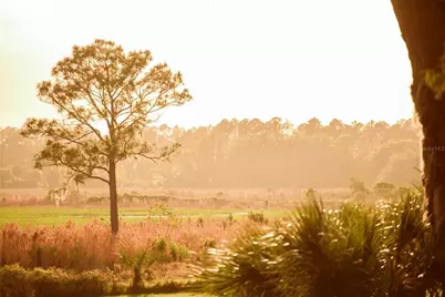 3841 SW 69th Avenue, Gainesville, FL 32608 - Photo 69