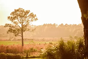 3841 SW 69th Ave, Gainesville, FL 32608 - Photo 69