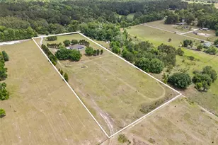 29104 N County Road 1491, Alachua, FL 32615 - Photo 29