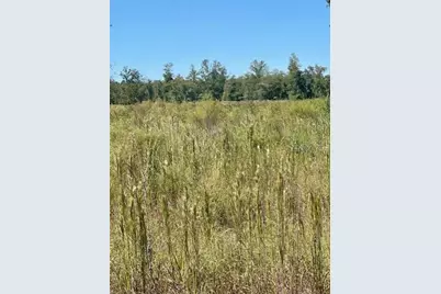 Ne 35th Ave, Bronson, FL 32621 - Photo 5