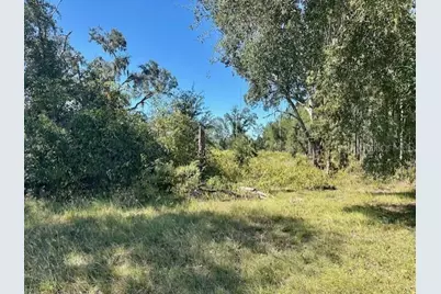 Ne 35th Ave, Bronson, FL 32621 - Photo 7