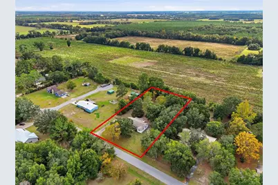 2860 NW 173rd St Street, Trenton, FL 32693 - Photo 29