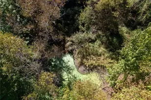 576 SE May Hall Terrace, Lake City, FL 32025 - Photo 39