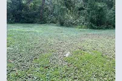 3023 SE 13th Place, Gainesville, FL 32641 - Photo 23