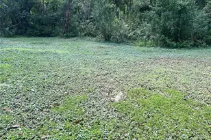 3023 SE 13th Pl, Gainesville, FL 32641 - Photo 23