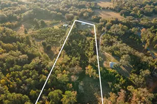 11423 SW Williston Rd, Micanopy, FL 32667 - Photo 33