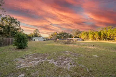 11423 SW Williston Road, Micanopy, FL 32667 - Photo 25
