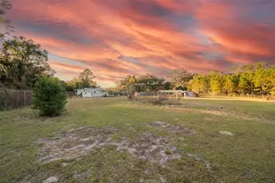 11423 SW Williston Rd, Micanopy, FL 32667 - Photo 25