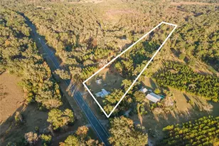 11423 SW Williston Rd, Micanopy, FL 32667 - Photo 35