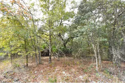 126 Terrell Street, Interlachen, FL 32148 - Photo 45