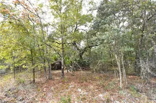 126 Terrell St, Interlachen, FL 32148 - Photo 45